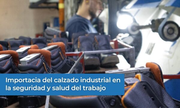 Importancia Del Calzado En La Seguridad Y Salud En El Trabajo De Las