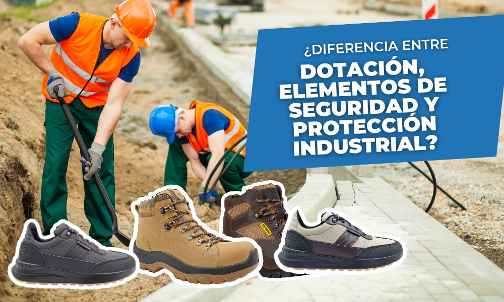 diferencias-entre-dotacion